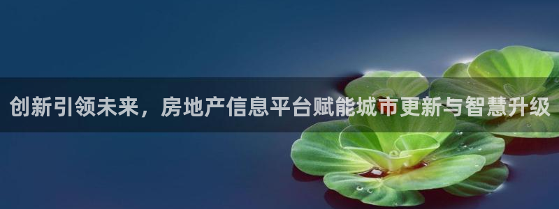 下载风暴娱乐：创新引领未来，房地产信息平台赋能城市更新与智慧