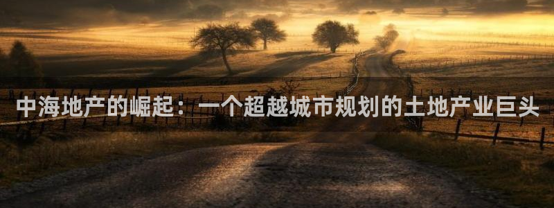 蓝色风暴娱乐：中海地产的崛起：一个超越城市规划的土地产业巨头