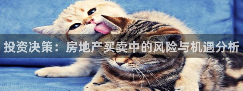 风暴娱乐注册网址：投资决策：房地产买卖中的风险与机遇分析