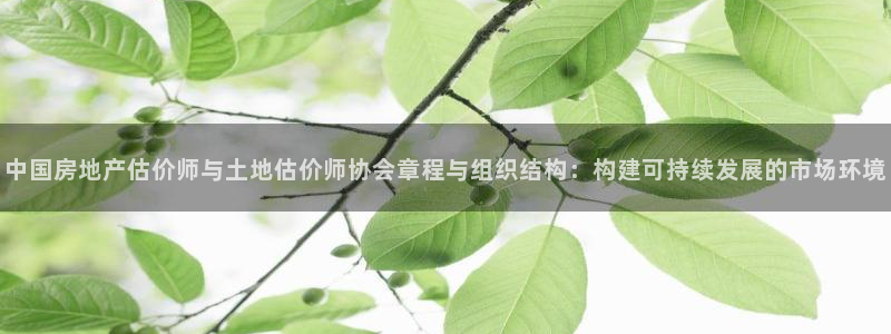 风暴娱乐 平台首页：中国房地产估价师与土地估价师协会章程与组