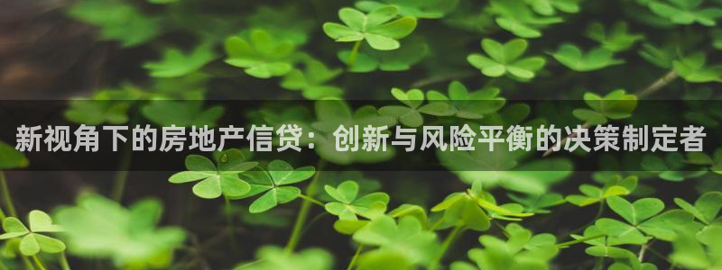 风暴娱乐汇：新视角下的房地产信贷：创新与风险平衡的决策制定者