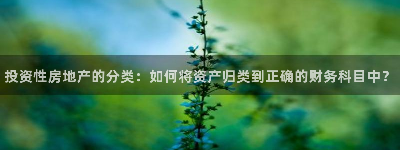 风暴娱乐下5指尖：投资性房地产的分类：如何将资产归类到正确的