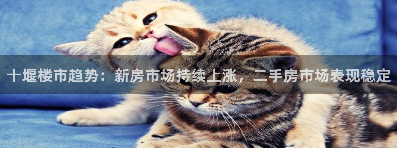风暴注册娱乐：十堰楼市趋势：新房市场持续上涨，二手房市场表现
