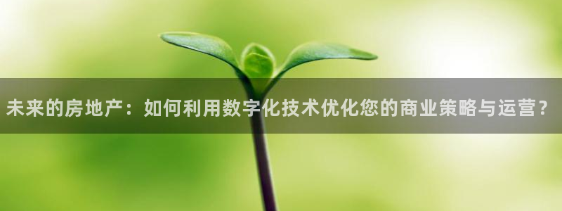风暴娱乐园：未来的房地产：如何利用数字化技术优化您的商业策略