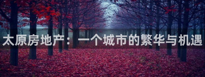 风暴娱乐去人l8888：太原房地产：一个城市的繁华与机遇