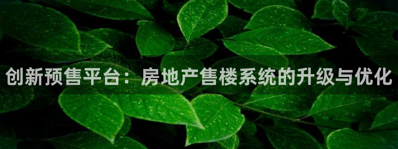 风暴娱乐厅：创新预售平台：房地产售楼系统的升级与优化