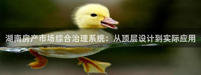 娱乐风暴2：湖南房产市场综合治理系统：从顶层设计到实际应用