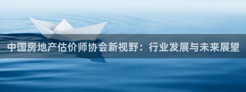 风暴娱乐实况：中国房地产估价师协会新视野：行业发展与未来展望