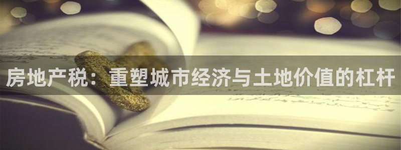 风暴娱乐自动挂：房地产税：重塑城市经济与土地价值的杠杆