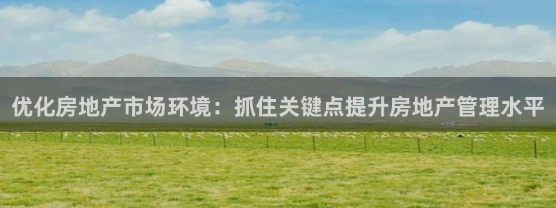 完美风暴 娱乐：优化房地产市场环境：抓住关键点提升房地产管理