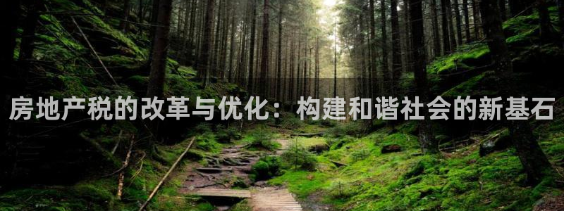 4120051风暴娱乐：房地产税的改革与优化：构建和谐社会的