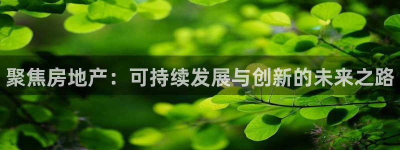 娱乐风暴港：聚焦房地产：可持续发展与创新的未来之路