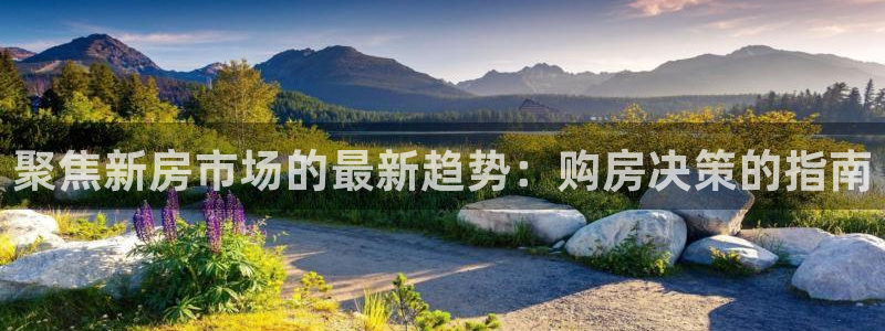 风暴娱乐待遇：聚焦新房市场的最新趋势：购房决策的指南