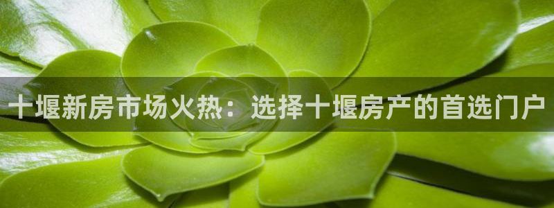 风暴娱乐月5指尖：十堰新房市场火热：选择十堰房产的首选门户