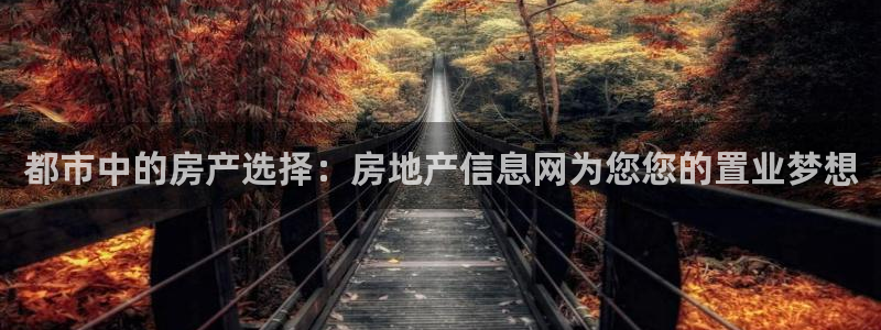 风暴娱乐客服：都市中的房产选择：房地产信息网为您您的置业梦想