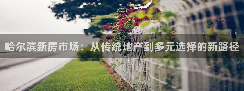 蓝色风暴娱乐：哈尔滨新房市场：从传统地产到多元选择的新路径