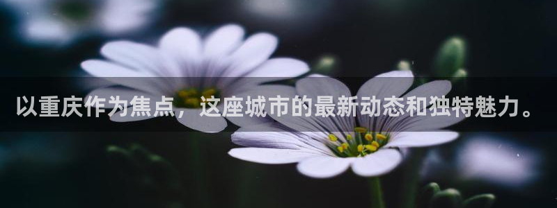 风暴娱乐fb：以重庆作为焦点，这座城市的最新动态和独特魅力。