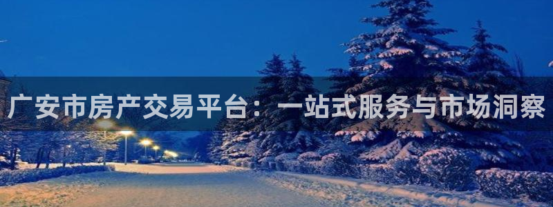 风暴娱乐客服：广安市房产交易平台：一站式服务与市场洞察