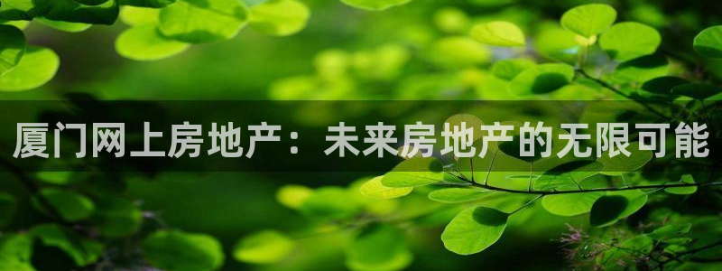 娱乐星空风暴：厦门网上房地产：未来房地产的无限可能