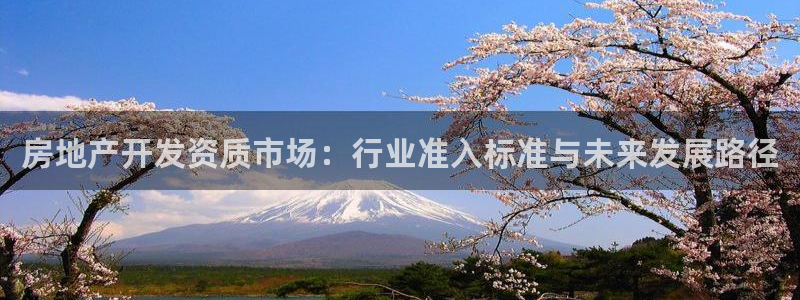 风暴娱乐眼：房地产开发资质市场：行业准入标准与未来发展路径