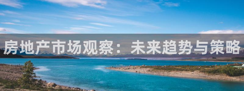 光风暴娱乐：房地产市场观察：未来趋势与策略