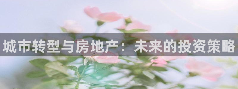 风暴娱乐实况：城市转型与房地产：未来的投资策略