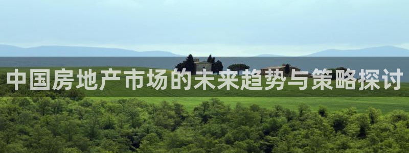 风暴娱乐汇：中国房地产市场的未来趋势与策略探讨