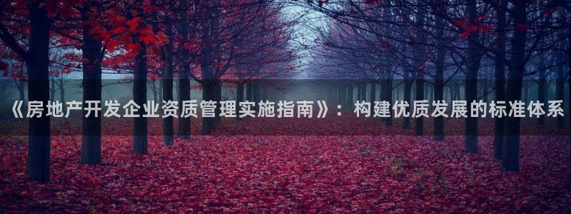 风暴娱乐40996：《房地产开发企业资质管理实施指南》：构建